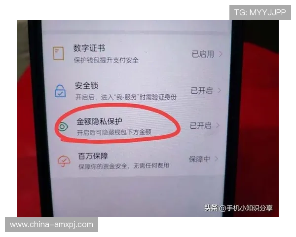 安全稳定的葡京娱乐场注册登录入口推荐，保障您的资金与个人信息安全